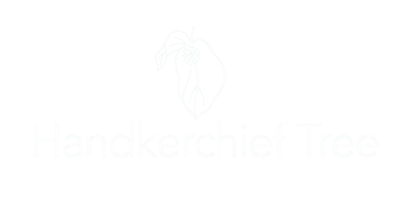 Handkerchief Tree